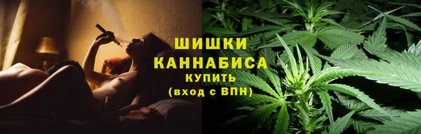 дмт Дмитриев