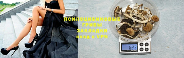 PSILOCYBIN Гусиноозёрск