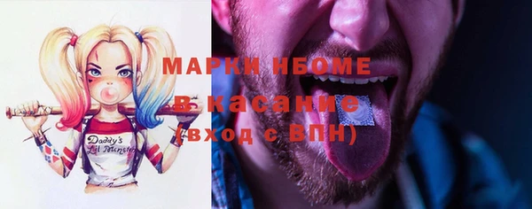 PSILOCYBIN Гусиноозёрск