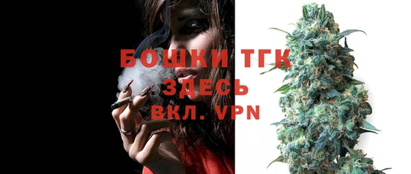 PSILOCYBIN Гусиноозёрск