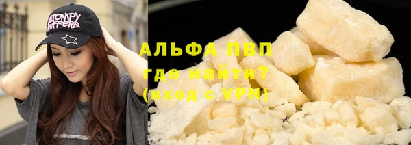 ПСИЛОЦИБИНОВЫЕ ГРИБЫ Дмитров