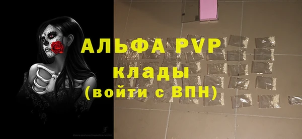 PSILOCYBIN Гусиноозёрск